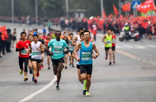 马拉松比赛视频,挑战极限，见证荣耀