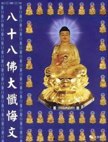 佛视频,揭示禅意生活智慧，启迪心灵之旅