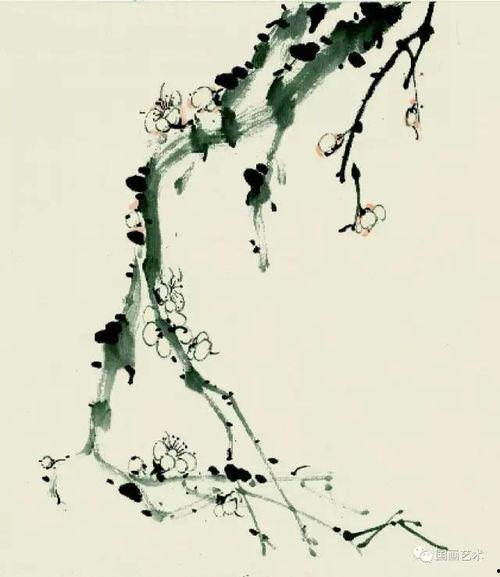 国画入门视频,跟随视频轻松掌握传统艺术精髓