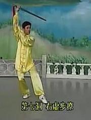 武当剑视频,传承千年的剑道风采