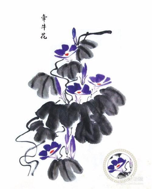 国画牵牛花的画法视频,从笔触到色彩，一招一式展现花韵之美