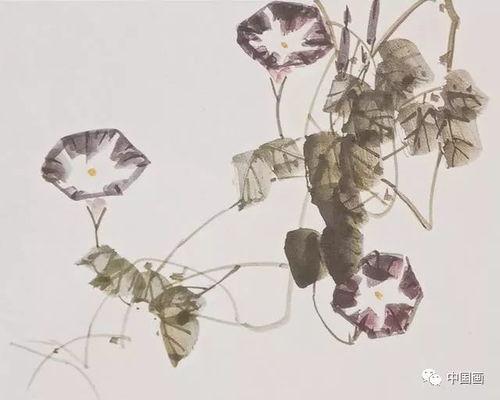 国画牵牛花的画法视频,从笔触到色彩，一招一式展现花韵之美