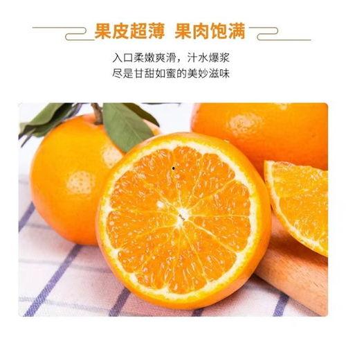 沃柑视频,视频揭秘沃柑种植与美味之旅