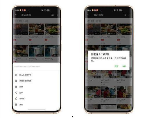 手机视频加密,守护隐私，安全无忧的数字守护者
