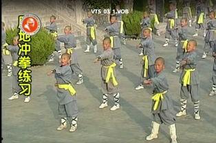 打架教学视频,从打架教学视频学到的生存之道