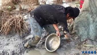 挖鱼视频,跟随挖鱼视频探寻海洋奇观
