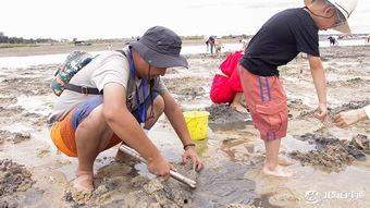 挖鱼视频,跟随挖鱼视频探寻海洋奇观