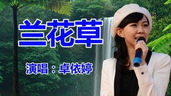 卓依婷兰花草视频,卓依婷演绎经典，唤醒心灵深处的美好回忆
