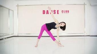 瑜伽舞蹈视频,身心合一的灵动之旅