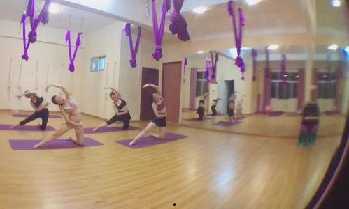 瑜伽舞蹈视频,身心合一的灵动之旅