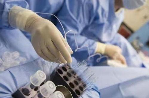 试管视频,生育科技背后的奇迹之旅