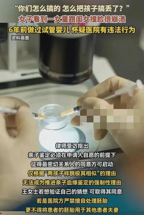 试管视频,生育科技背后的奇迹之旅