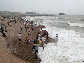 青岛海边视频,碧海蓝天下的浪漫时光