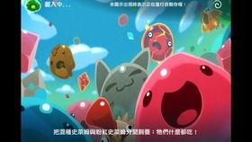 史莱姆视频,探索神秘生物的奇幻世界