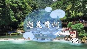 骑羊视频,一场骑羊视频的奇幻之旅