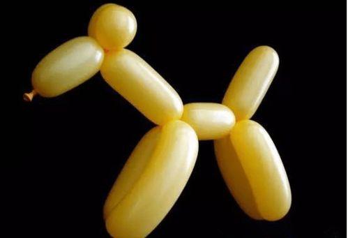 编气球视频,一场视觉与创意的编气球盛宴