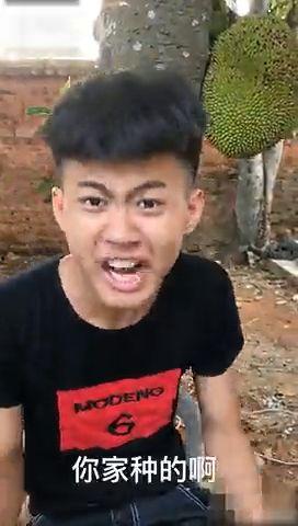 摘笑视频,搞笑视频集锦，让你笑到肚子疼！