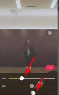 抖音视频原声,揭秘网红爆款背后的秘密