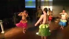 草裙舞视频,草裙舞视频中的热带风情演绎