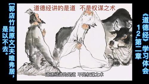 道德经讲解视频,探寻老子哲学的精髓与启示