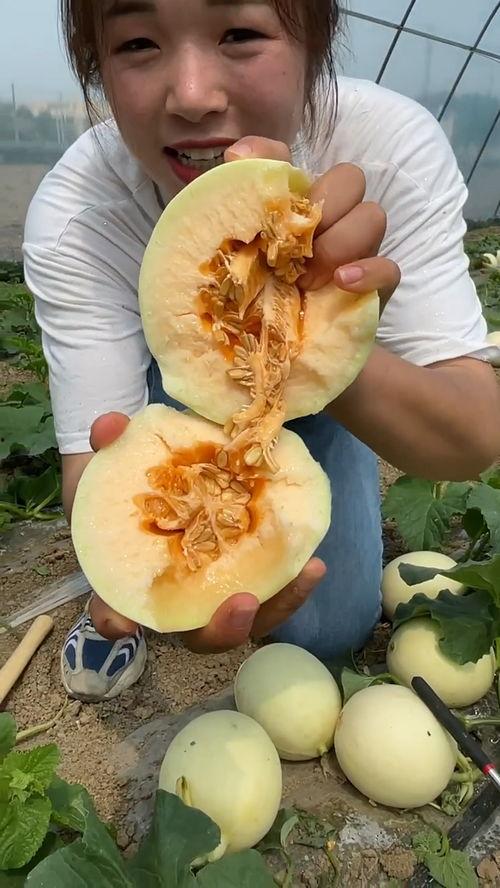 甜瓜视频,带你探索短视频世界的无限魅力