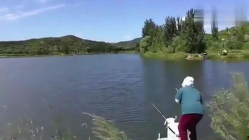 手竿钓鱼视频,视频教程带你轻松入门