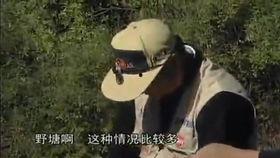 手竿钓鱼视频,视频教程带你轻松入门