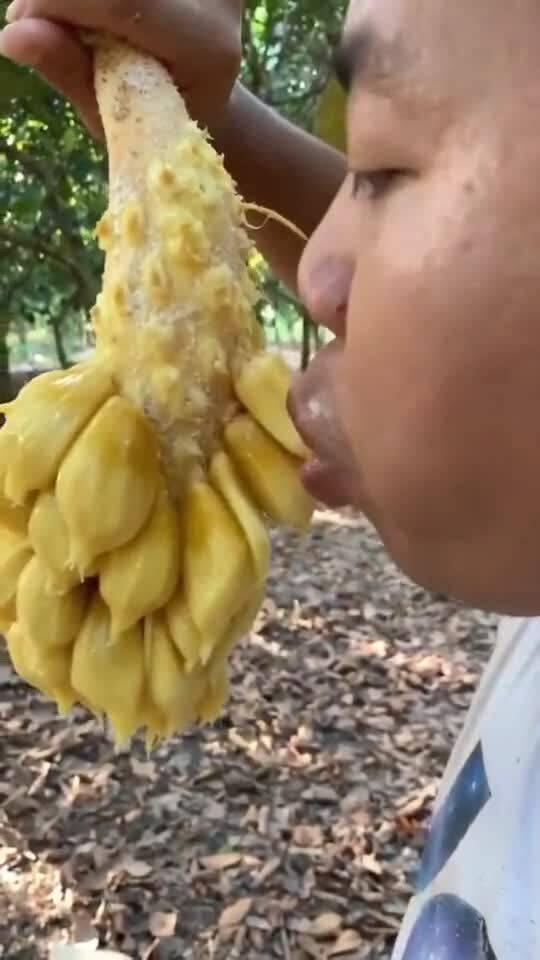 吃菠萝蜜视频,一场视觉与味蕾的双重盛宴