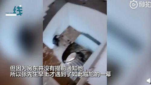 带跳蛋出门 视频,揭秘现代都市人的另类生活体验