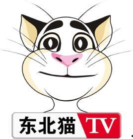 东北猫视频,萌态可掬的东北猫咪风采展示