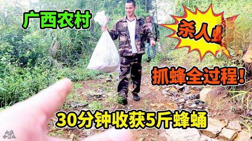 抓马蜂视频,勇敢者与狂野马蜂的生死较量