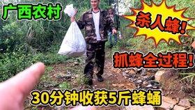 抓马蜂视频,勇敢者与狂野马蜂的生死较量