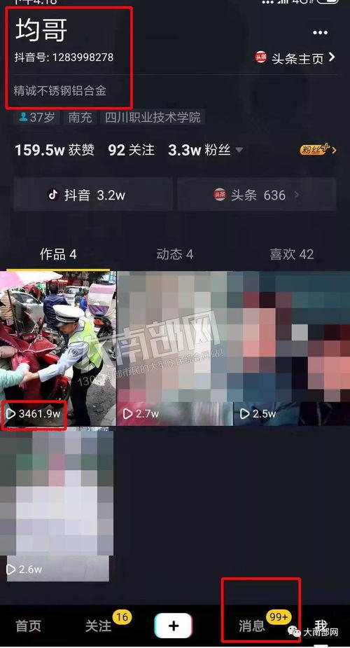 网拍视频,一场视觉盛宴的幕后故事