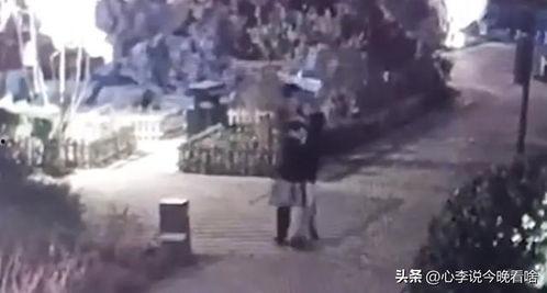 兰州爆料吃瓜,吃瓜群众揭秘城市热点事件