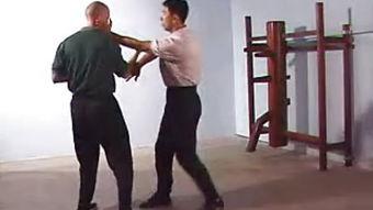 咏春视频教学,视频教学解析