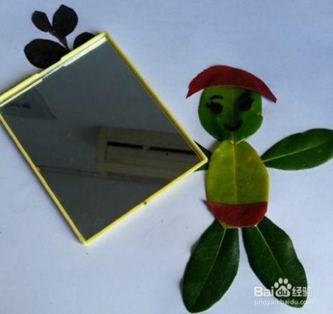 树叶贴画视频,创意无限的自然艺术之旅