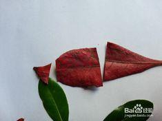 树叶贴画视频,创意无限的自然艺术之旅