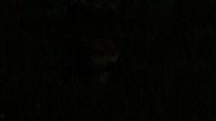 狼好色高清视频,揭秘狼族好色背后的神秘面纱