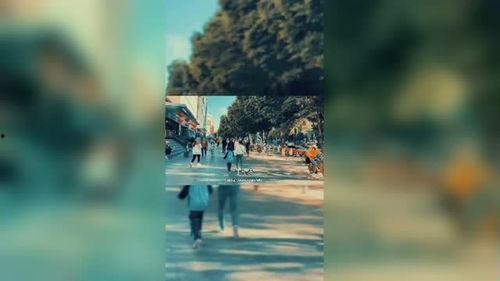 关于励志的视频,励志视频中的力量与启示