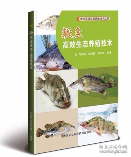 鳜鱼养殖视频,从选种到收获