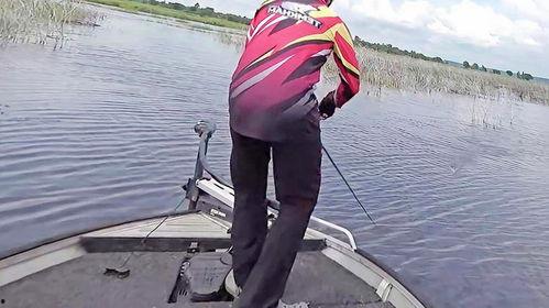 路亚技巧视频,掌握钓鱼高手的秘诀