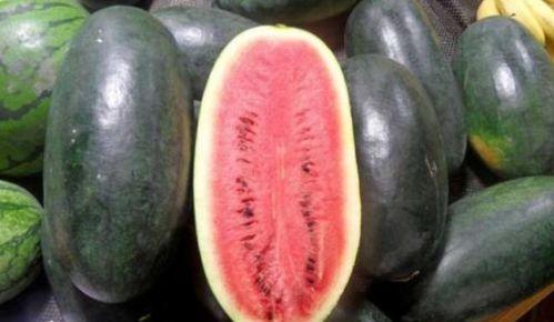 黑瓜吃料网张津瑜7,张津瑜7背后的故事与真相