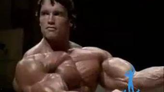 施瓦辛格视频,揭秘肌肉巨星的训练秘诀