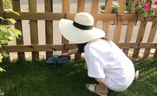 弯腰视频,捕捉生活美好瞬间