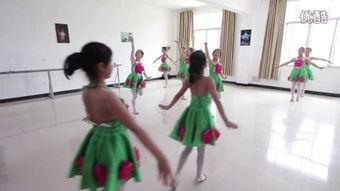 小花朵舞蹈视频,萌动童心的舞蹈盛宴