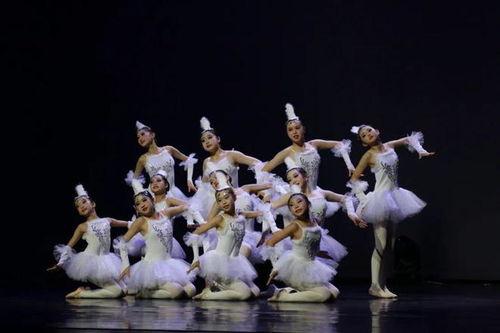 小花朵舞蹈视频,萌动童心的舞蹈盛宴