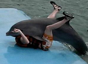 海豚交配视频,揭秘海洋中的爱情故事