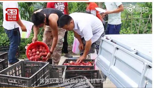 被老师打屁股视频,老师打学生屁股视频引发社会关注