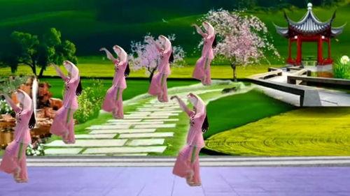 月满西楼舞蹈教学视频,优雅古典舞步解析与演绎