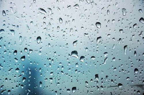 小水滴视频,探索自然奥秘的奇妙之旅